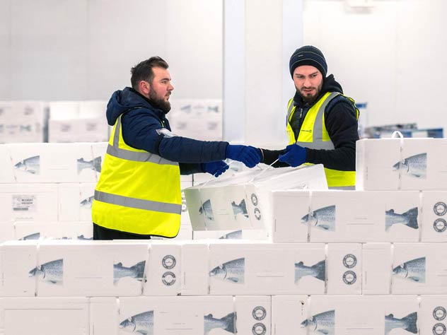 Logistics solutions for fish and seafood